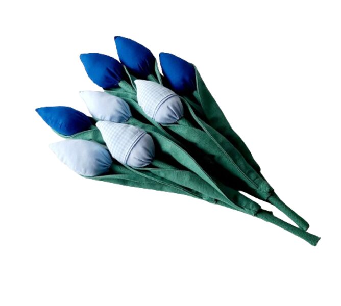 Голубой1 тюльпан