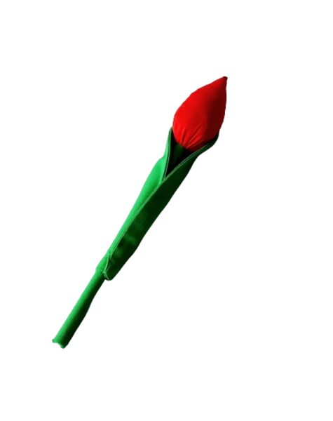 Raudona tulpė