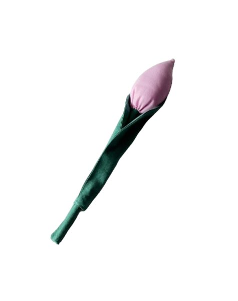 Ružava tulpė