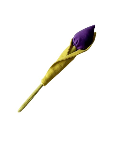 Violetinė tulpė