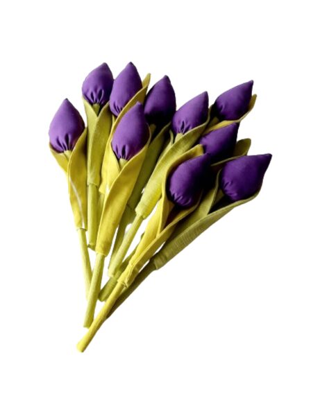 Violetinė tulpė